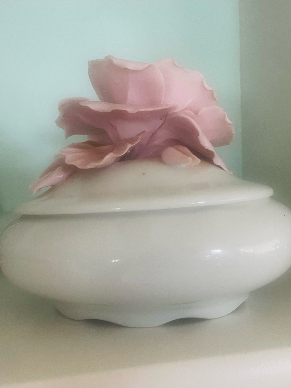 Capodimonte vintage White luscious Porcelain Decorative Jar with Pink Rose